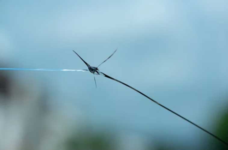 How to Prevent Windshield Cracks from Spreading